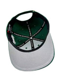 Haloshift Classic Cap (Green) - Signature