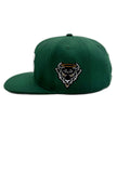 Haloshift Classic Cap (Green) - Signature